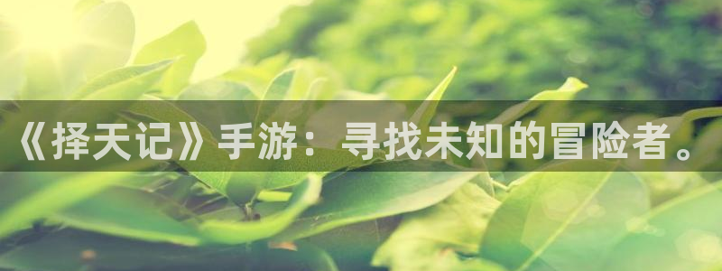28大神网：《择天记》手游：寻找未知的冒险者。