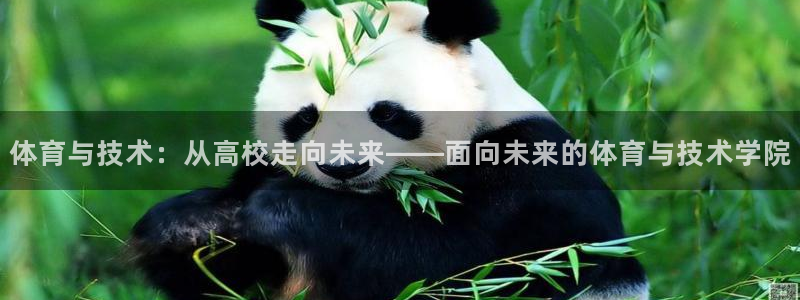 球王会体育：体育与技术：从高校走向未来——面向未来的体育与技术学院