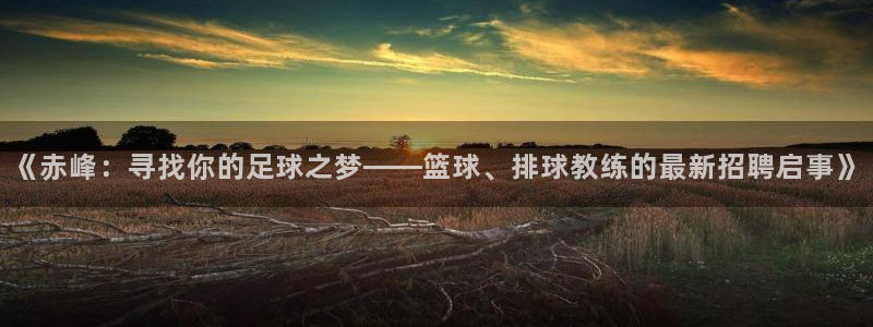 球王会体育：《赤峰：寻找你的足球之梦——篮球、排球教练的最新招聘启事》