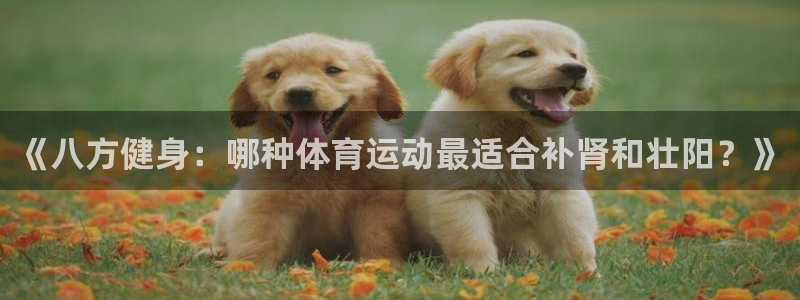 球王会体育：《八方健身：哪种体育运动最适合补肾和壮阳？》