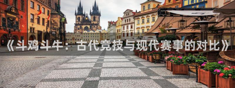 球王会体育：《斗鸡斗牛：古代竞技与现代赛事的对比》