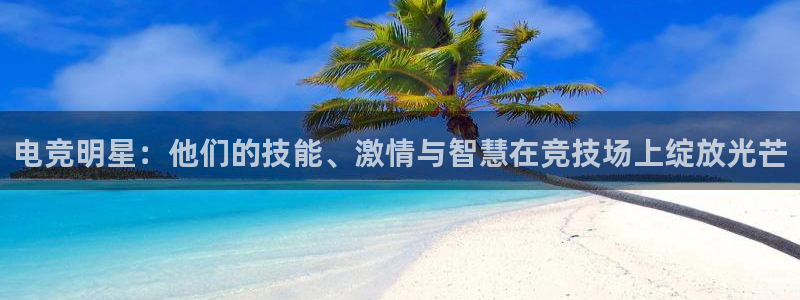 球王会体育：电竞明星：他们的技能、激情与智慧在竞技场上绽放光芒