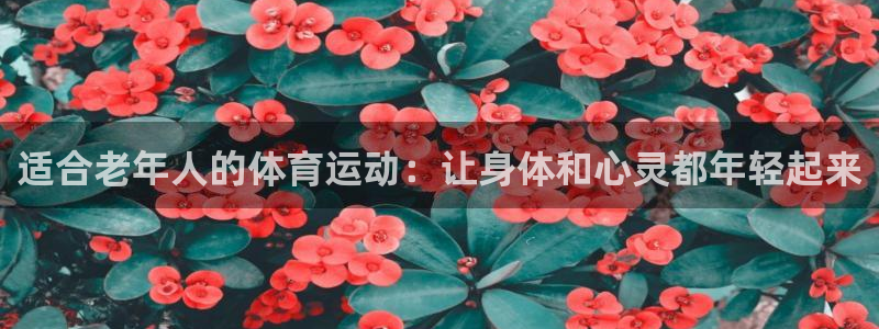 球王会体育：适合老年人的体育运动：让身体和心灵都年轻起来