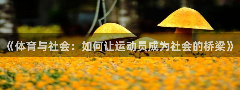 球王会体育：《体育与社会：如何让运动员成为社会的桥梁》