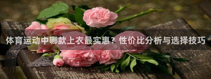 球王会体育：体育运动中哪款上衣最实惠？性价比分析与选择技巧