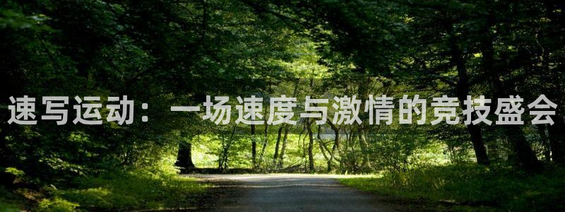 球王会体育：速写运动：一场速度与激情的竞技盛会