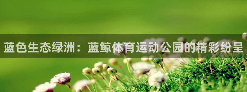 球王会体育：蓝色生态绿洲：蓝鲸体育运动公园的精彩纷呈