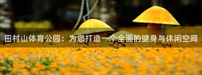球王会体育：田村山体育公园：为您打造一个全面的健身与休闲空间