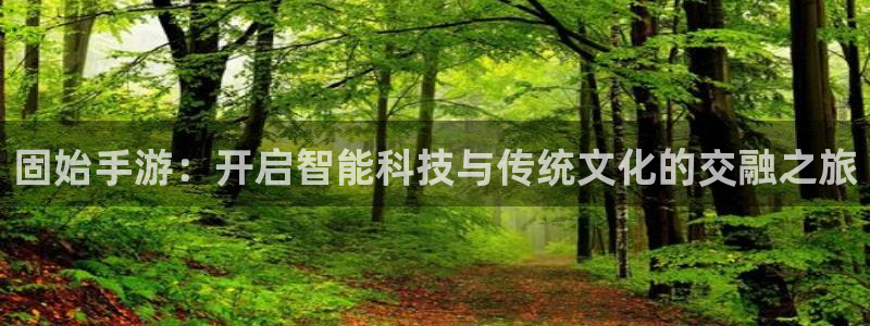 蓝图娱乐开奖查询：固始手游：开启智能科技与传统文化的交融之旅