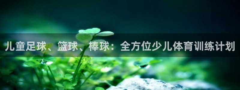 球王会体育：儿童足球、篮球、棒球：全方位少儿体育训练计划